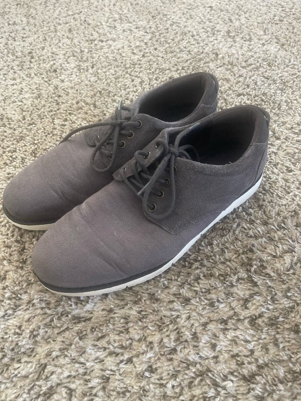 TOMS Carl Derby